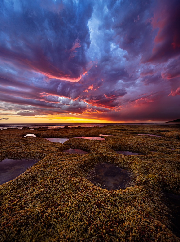 Point Lonsdale ii | Melbourne Street